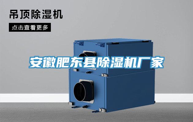 安徽肥東縣91看片网站廠家
