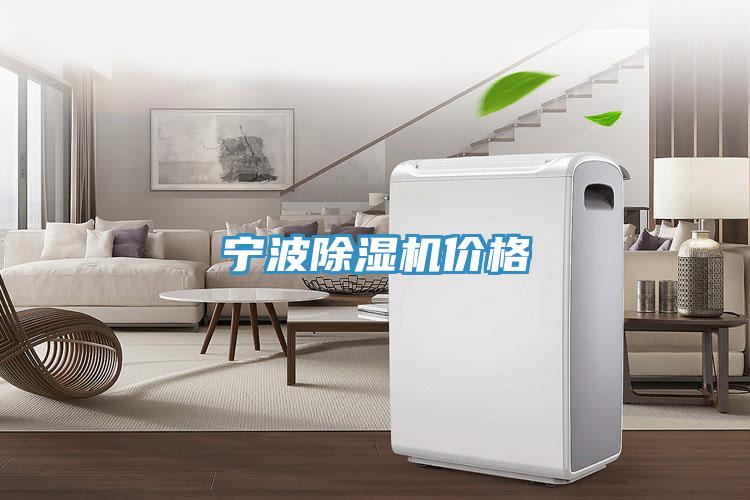 寧波91看片网站價格