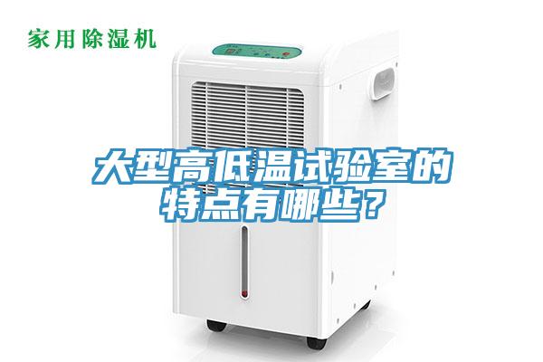 大型高低溫試驗室的特點有哪些？