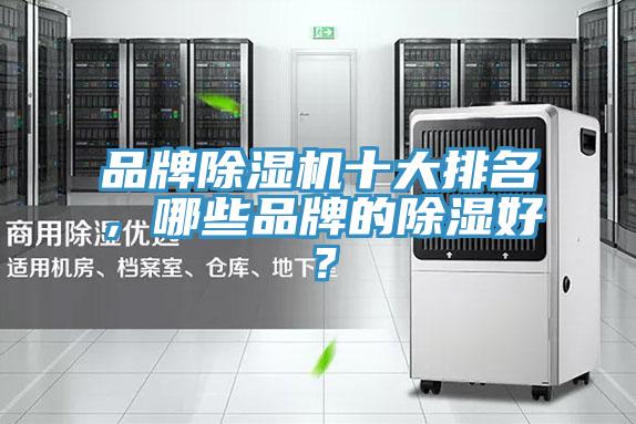 品牌91看片网站十大排名，哪些品牌的除濕好？