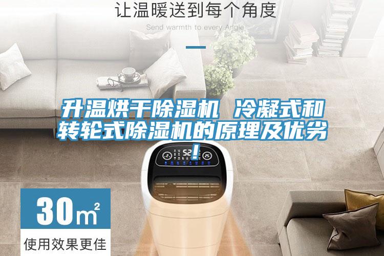 升溫烘幹91看片网站 冷凝式和轉輪式91看片网站的原理及優劣！