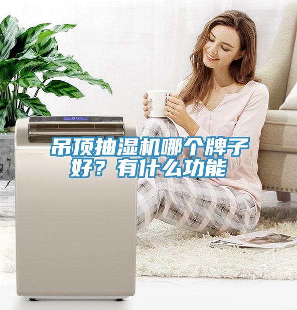 吊頂抽濕機哪個牌子好？有什麽功能