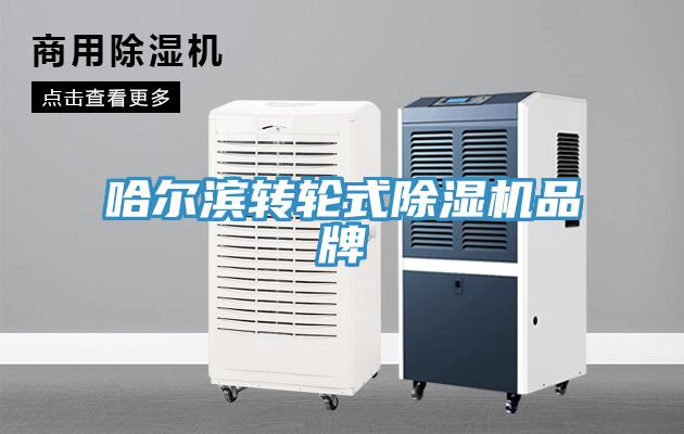 哈爾濱轉輪式91看片网站品牌