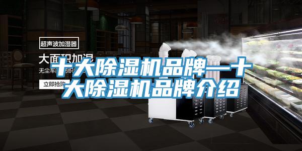 十大91看片网站品牌—十大91看片网站品牌介紹