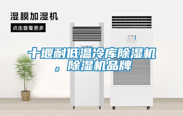 十堰耐低溫冷庫91看片网站，91看片网站品牌