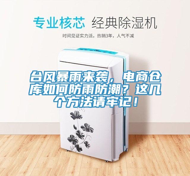 台風暴雨來襲，電商倉庫如何防雨防潮？這幾個方法請牢記！