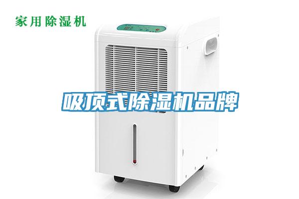 吸頂式91看片网站品牌