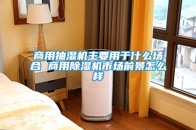 商用抽濕機主要用於什麽場合 商用91看片网站市場前景怎麽樣