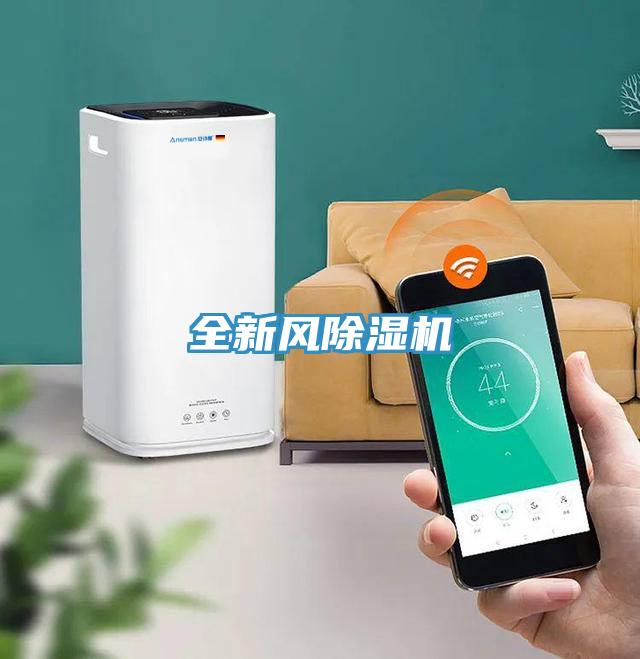 全新風91看片网站