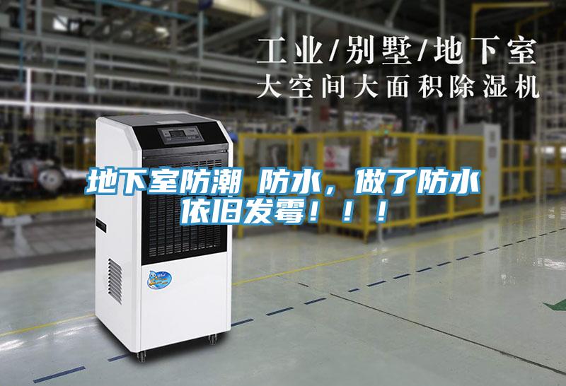 地下室防潮≠防水，做了防水依舊發黴！！！