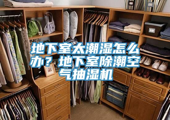 地下室太潮濕怎麽辦？地下室除潮空氣抽濕機