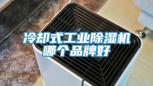 冷卻式工業91看片网站哪個品牌好