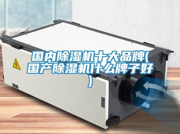 國內91看片网站十大品牌(國產91看片网站什麽牌子好)