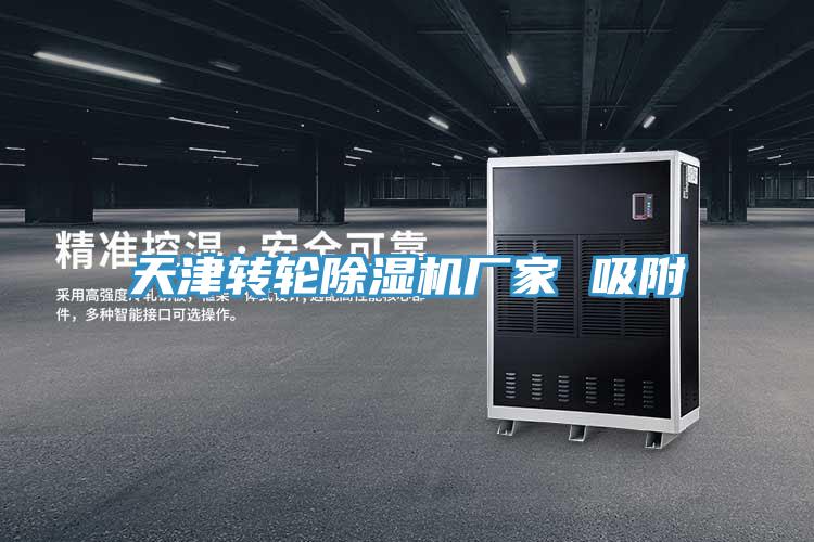 天津轉輪91看片网站廠家 吸附