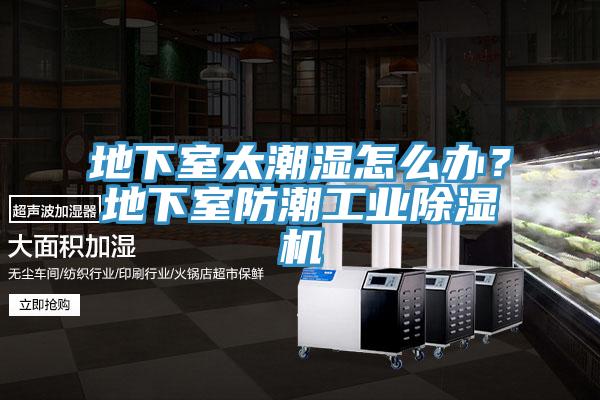 地下室太潮濕怎麽辦？地下室防潮工業91看片网站