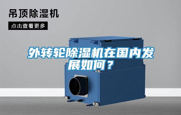 外轉輪91看片网站在國內發展如何？