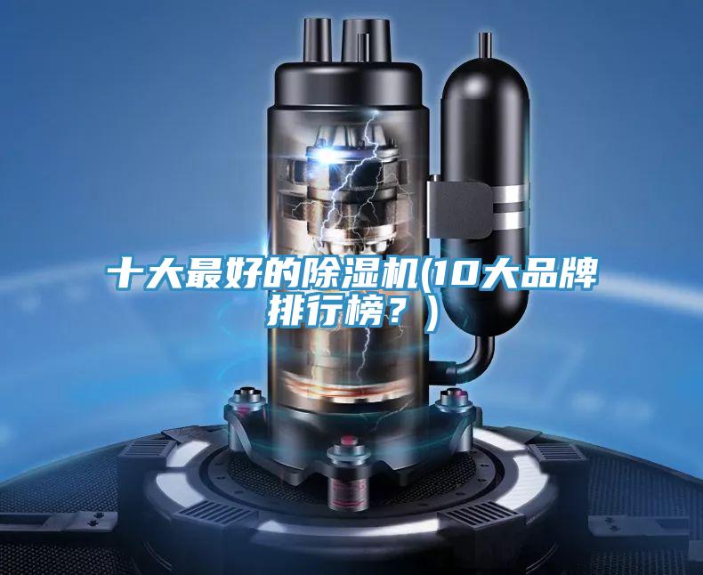 十大最好的91看片网站(10大品牌排行榜？)