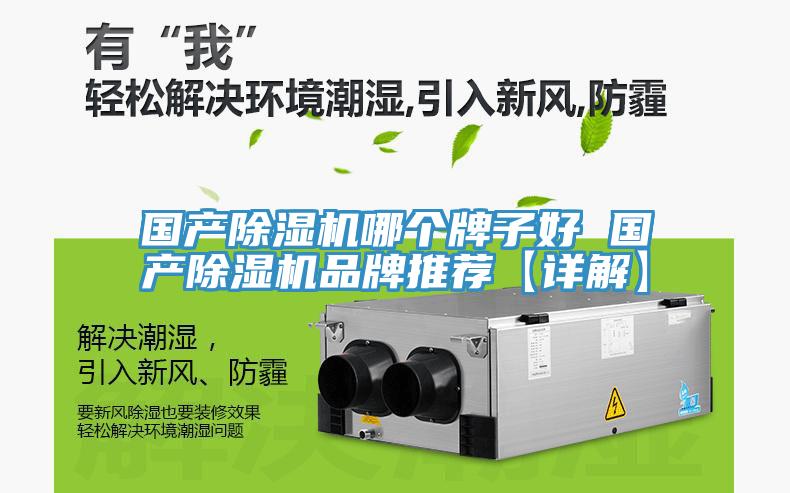 國產91看片网站哪個牌子好 國產91看片网站品牌推薦【詳解】