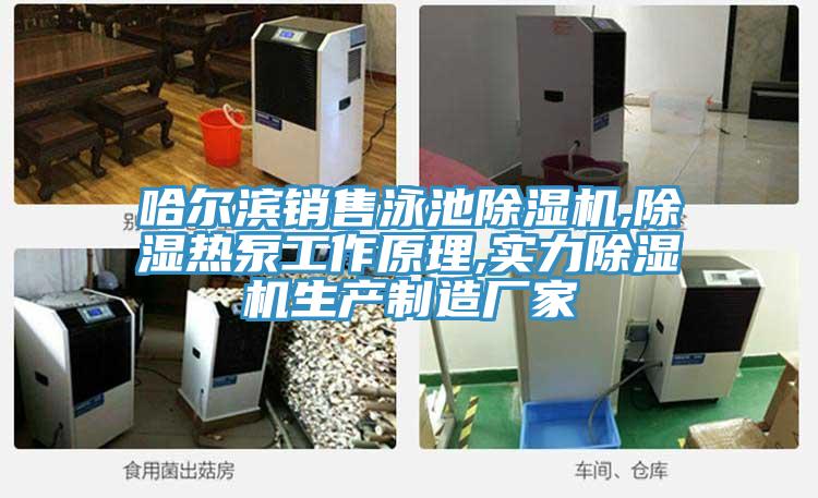 哈爾濱銷售泳池91看片网站,除濕熱泵工作原理,實力91看片网站生產製造廠家