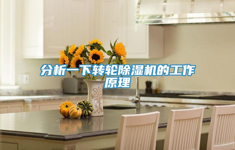 分析一下轉輪91看片网站的工作原理