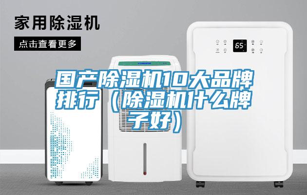 國產91看片网站10大品牌排行（91看片网站什麽牌子好）