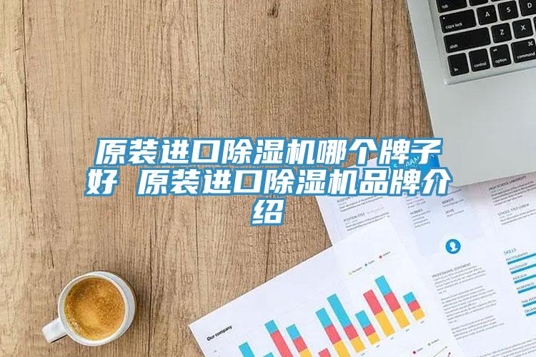 原裝進口91看片网站哪個牌子好 原裝進口91看片网站品牌介紹