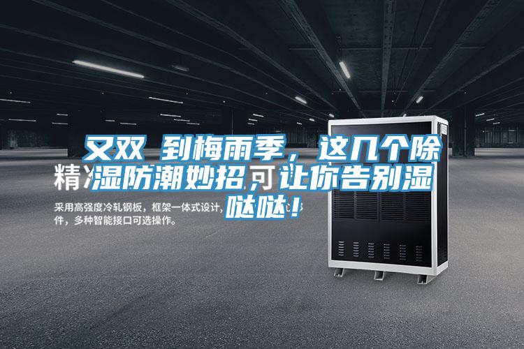又雙叒到梅雨季，這幾個除濕防潮妙招，讓你告別濕噠噠！