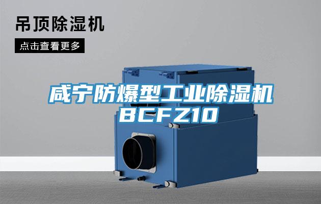 鹹寧防爆型工業91看片网站 BCFZ10