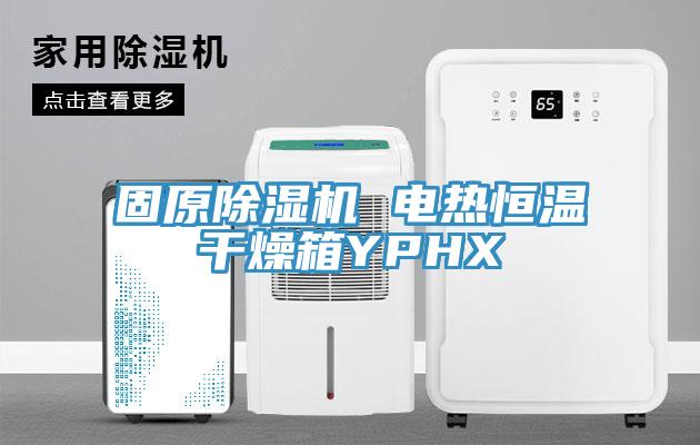 固原91看片网站 電熱恒溫幹燥箱YPHX