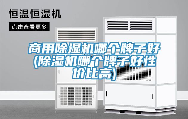 商用91看片网站哪個牌子好(91看片网站哪個牌子好性價比高)