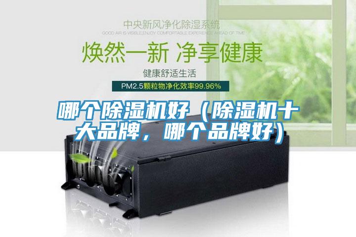 哪個91看片网站好（91看片网站十大品牌，哪個品牌好）