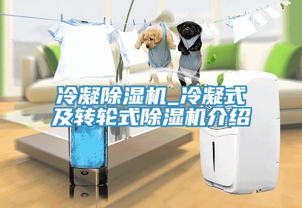 冷凝91看片网站_冷凝式及轉輪式91看片网站介紹