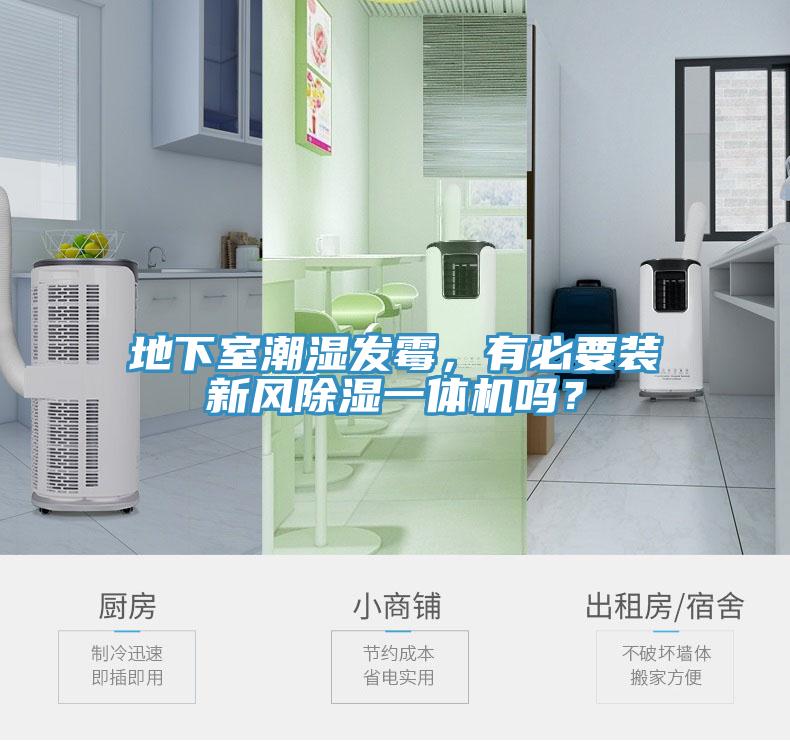 地下室潮濕發黴，有必要裝新風除濕一體機嗎？