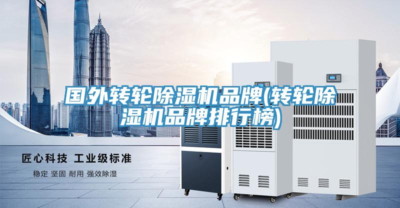國外轉輪91看片网站品牌(轉輪91看片网站品牌排行榜)