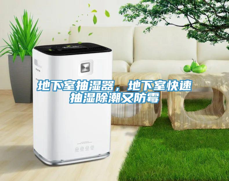 地下室抽濕器，地下室快速抽濕除潮又防黴