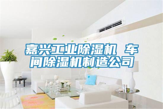 嘉興工業91看片网站 車間91看片网站製造公司