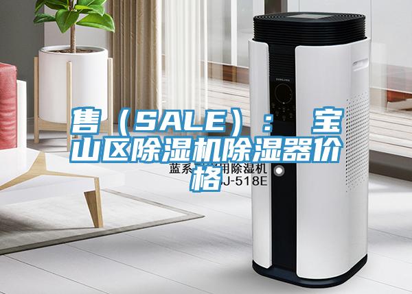 售（SALE）： 寶山區91看片网站除濕器價格