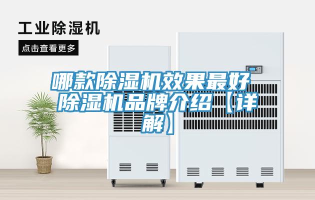 哪款91看片网站效果最好 91看片网站品牌介紹【詳解】