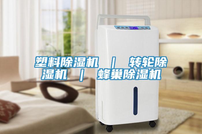 塑料91看片网站 ｜ 轉輪91看片网站 ｜ 蜂巢91看片网站