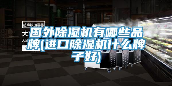 國外91看片网站有哪些品牌(進口91看片网站什麽牌子好)