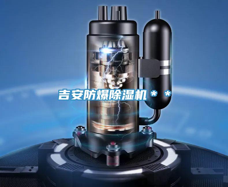 吉安防爆91看片网站＊＊