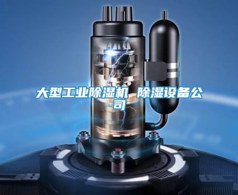 大型工業91看片网站 除濕設備公司