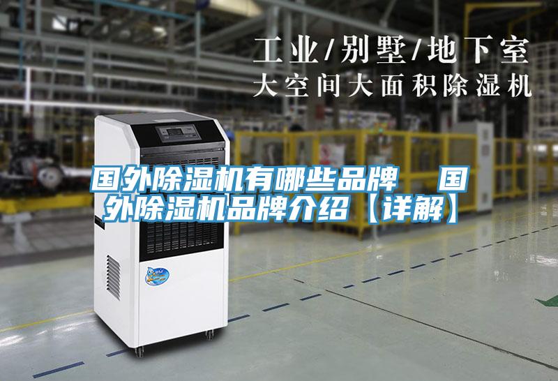 國外91看片网站有哪些品牌  國外91看片网站品牌介紹【詳解】