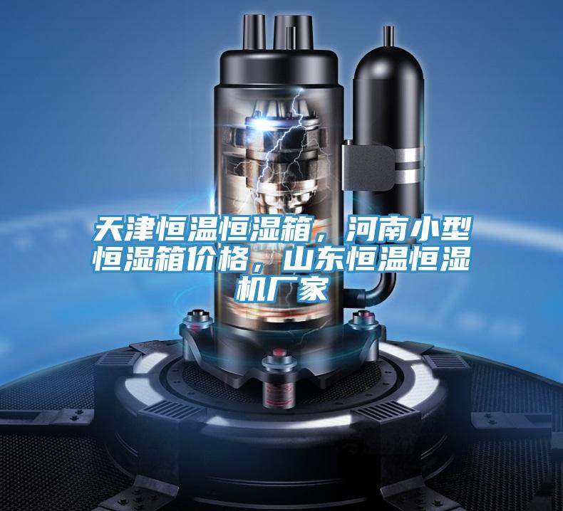 天津恒溫恒濕箱，河南小型恒濕箱價格，山東恒溫恒濕機廠家