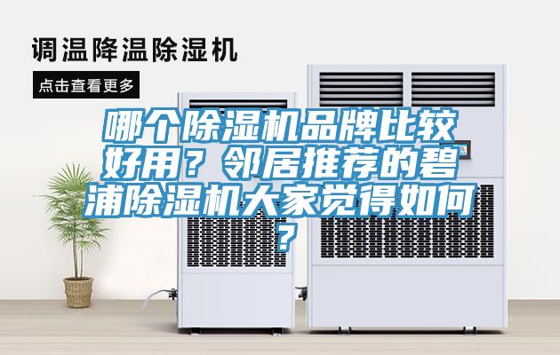 哪個91看片网站品牌比較好用？鄰居推薦的碧浦91看片网站大家覺得如何？
