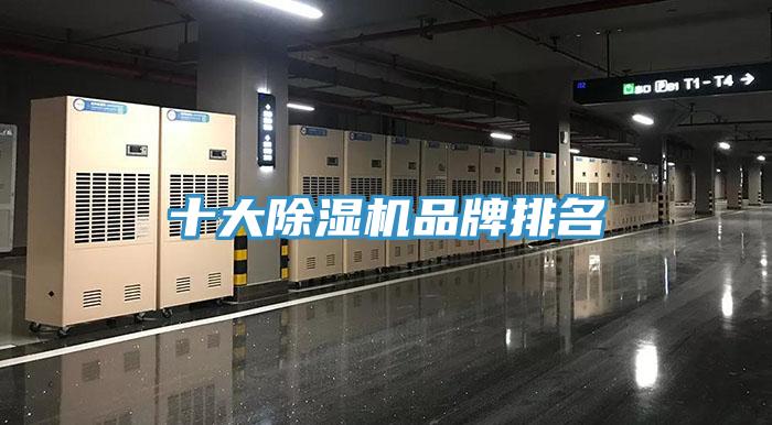 十大91看片网站品牌排名