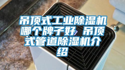 吊頂式工業91看片网站哪個牌子好 吊頂式管道91看片网站介紹