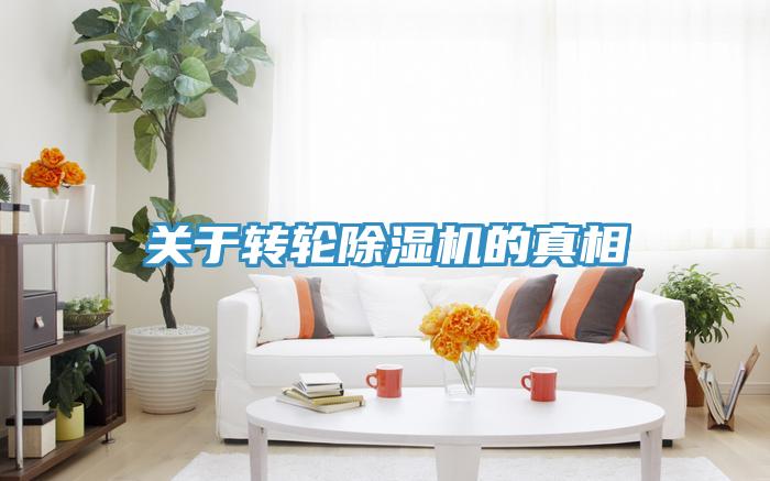 關於轉輪91看片网站的真相