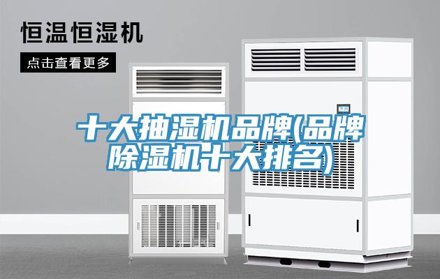 十大抽濕機品牌(品牌91看片网站十大排名)