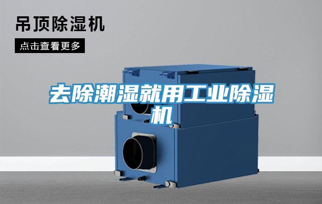去除潮濕就用工業91看片网站